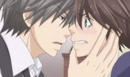 bl漫画18,激情四溢的浪漫邂逅